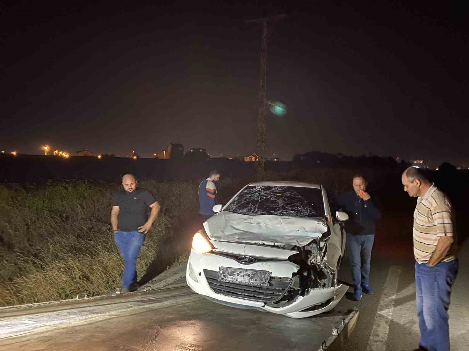 Tekirdağda Yürek Burkan Olay: Otomobilin Çarptığı Yaralı İnek, Çoban Kaçınca Sahipsiz Kaldı