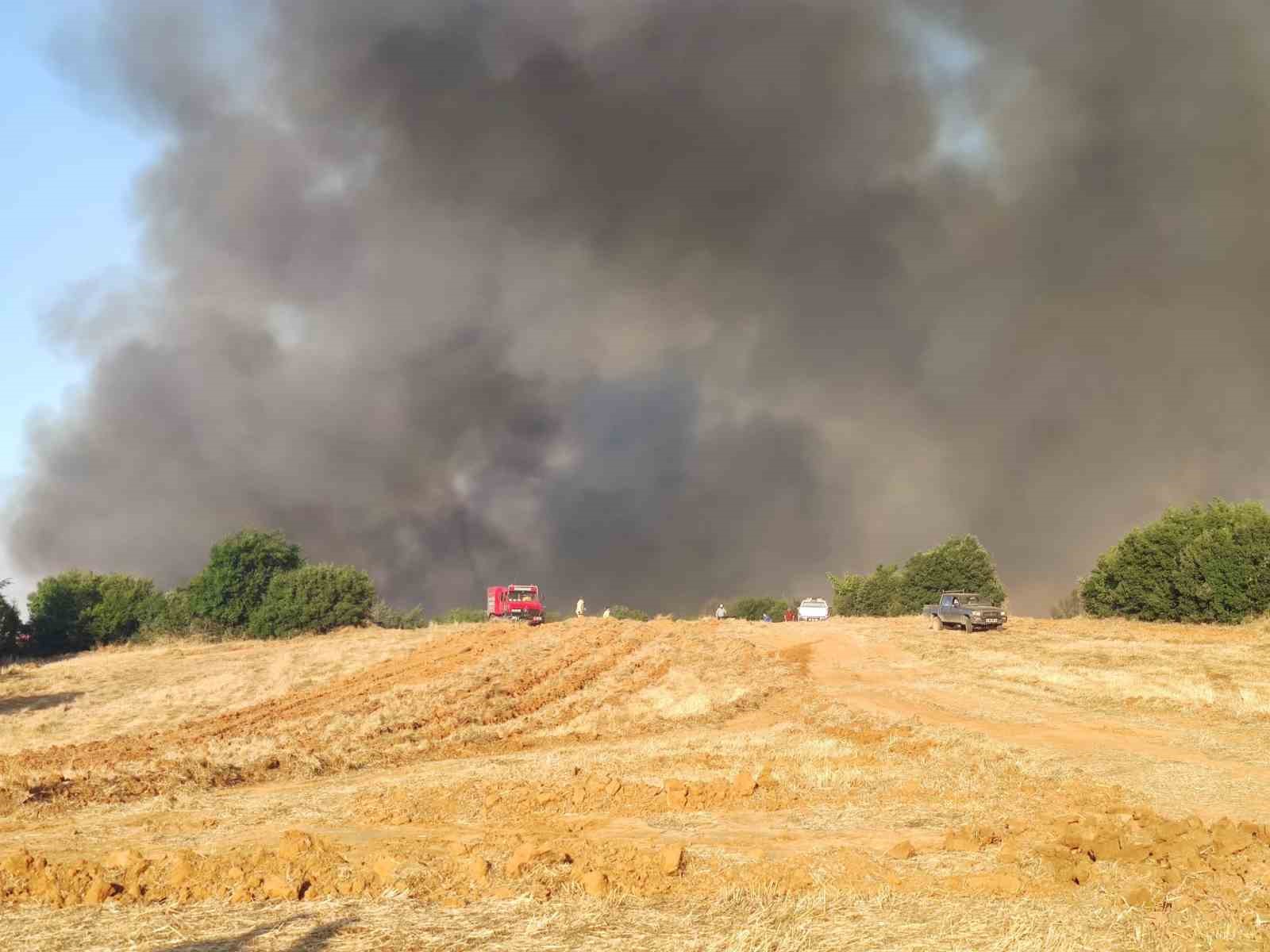 Tekirdağdaki Orman Yangınıyla İlgili 2 Kişi Gözaltına Alındı