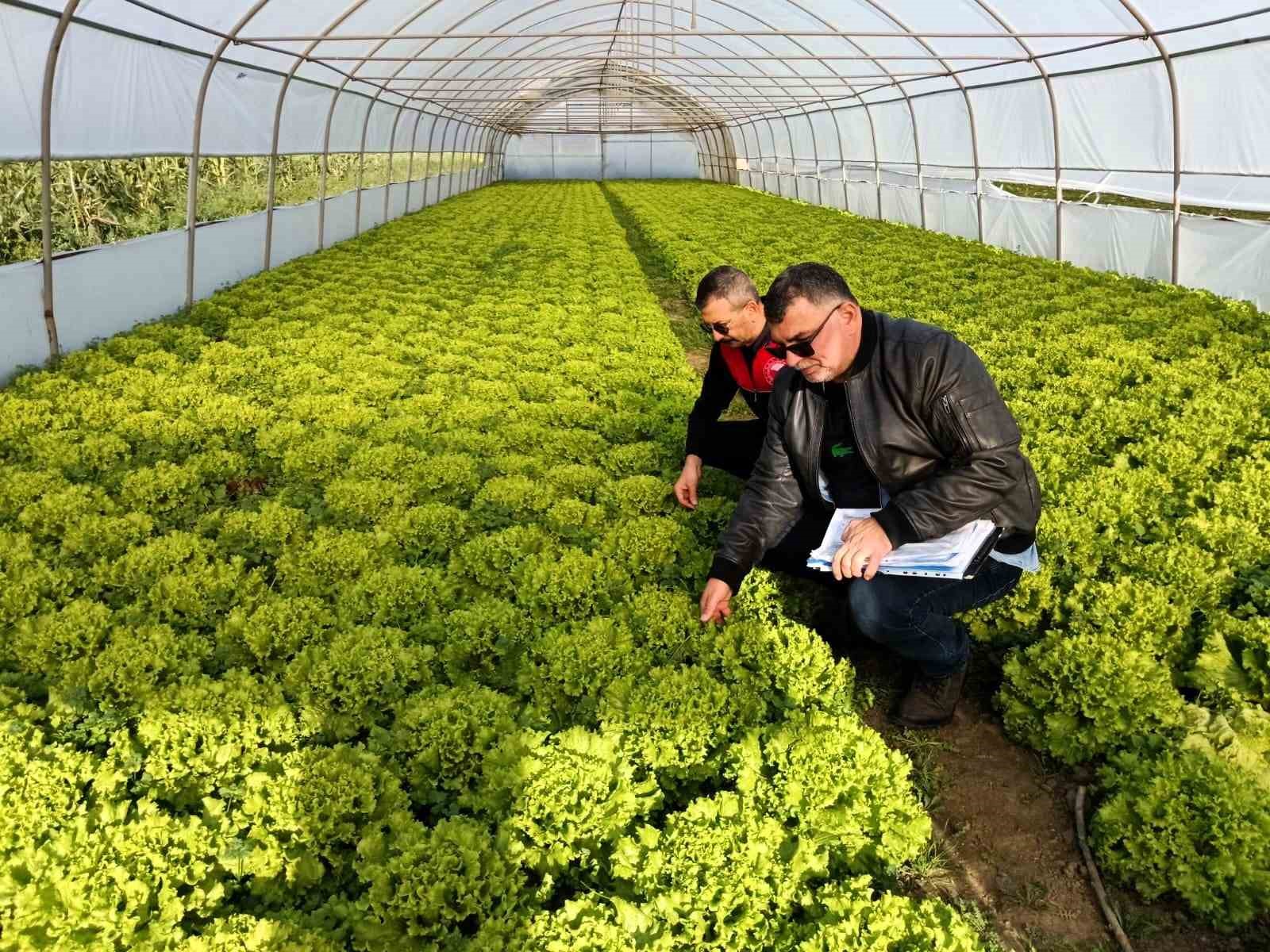 Kırklarelinde Sera Denetimleri