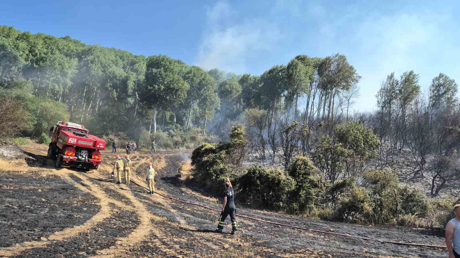 Şarköyde Tarlada Çıkan Yangın Makilik Alana Sıçradı
