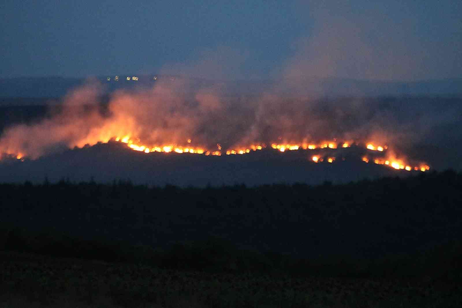 Bulgaristandaki Yangın Edirnenin Sınır Köylerine Dayandı: Alevler Ürkütücü Boyuta Ulaşıyor