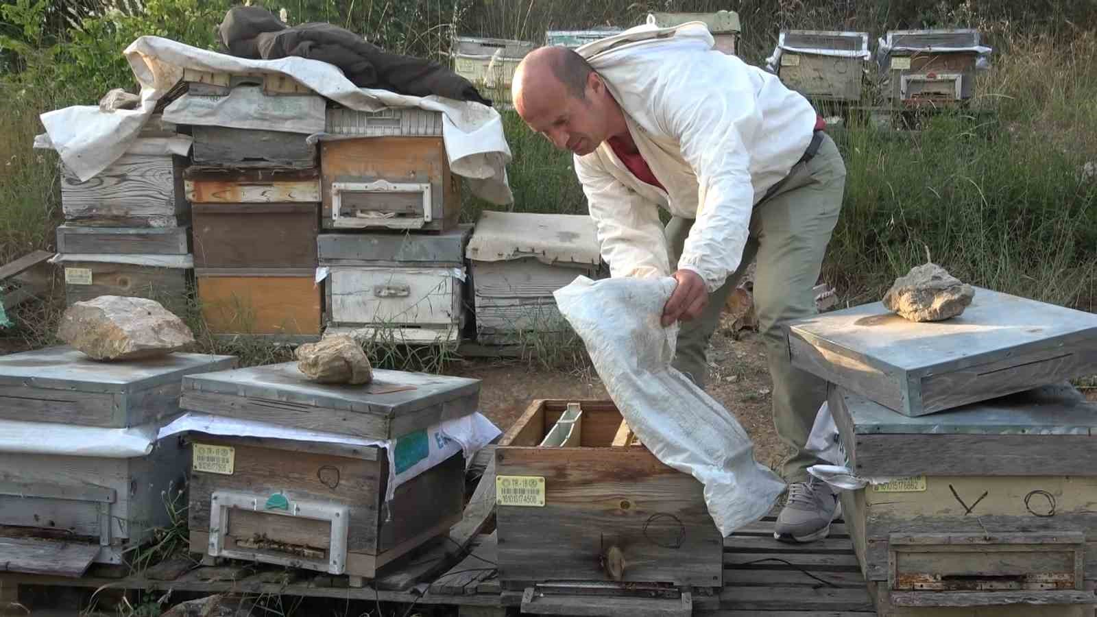 Bursada İlginç Hırsızlık...arıları Kovanlarıyla Birlikte Çaldılar