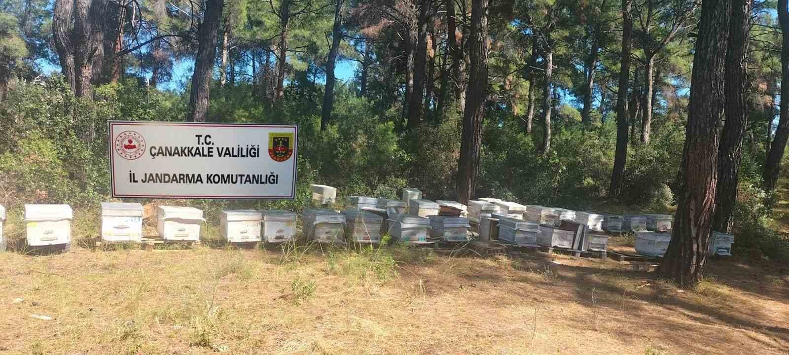 Çanakkalede Arı Kovanı Hırsızlığı
