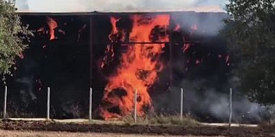 Çiftlik yangını 4 saatte kontrol altına alındı