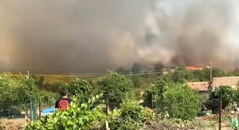 Edirnede 30 Dönümlük Buğday Tarlası Alev Alev Yandı