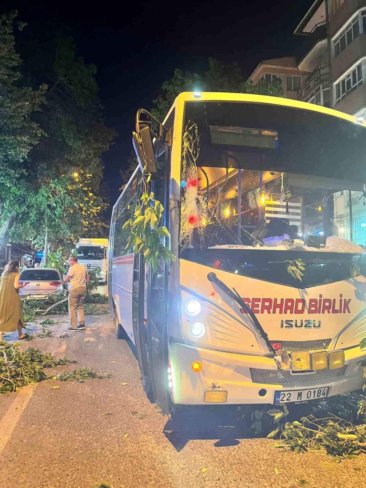 Edirnede Ağaç Devrildi, 2 Araç Hasar Gördü