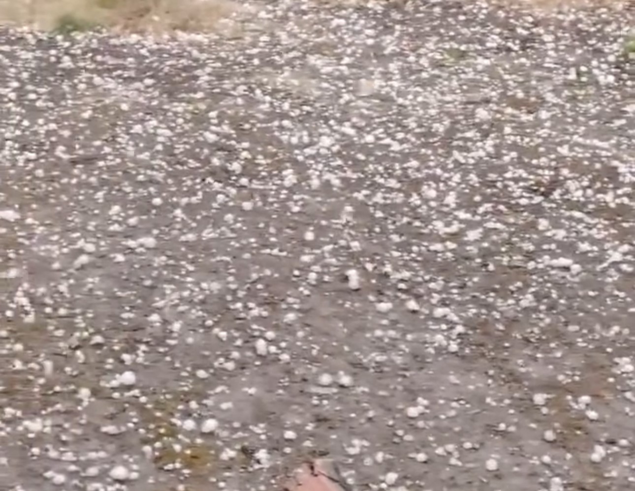 Edirnede Dolu Yağışı Etkili Oldu