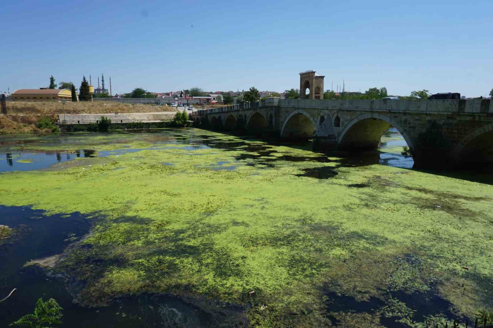 Edirnede Tunca Nehri Yeşile Büründü