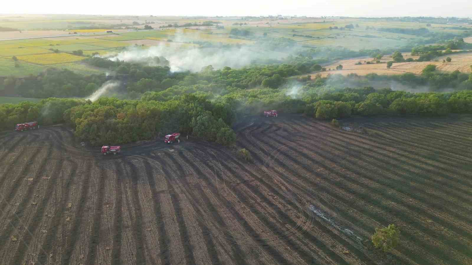 Edirnedeki Orman Yangınının Havadan Görüntüsü Ortaya Çıktı