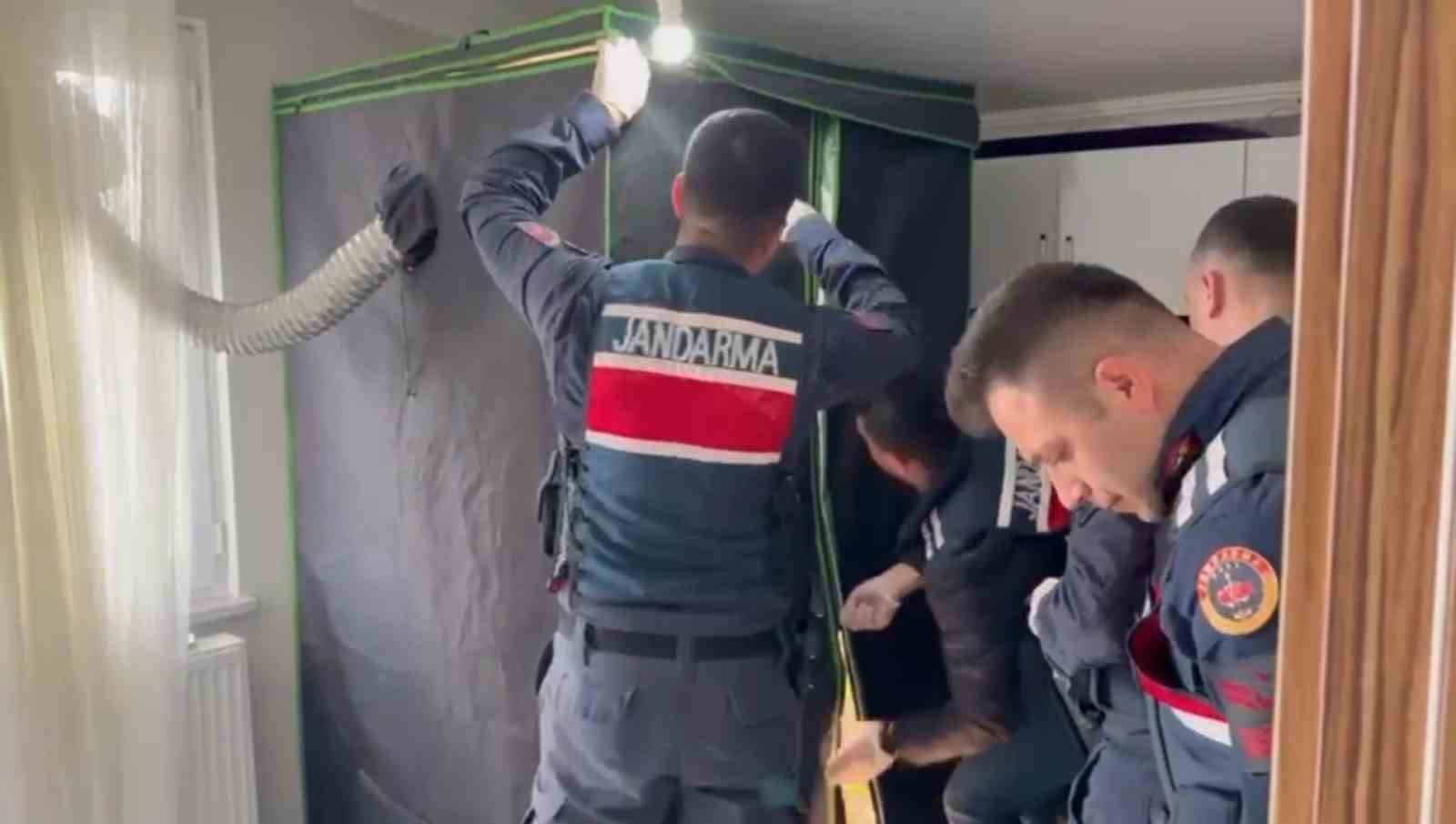 Elbise Dolabından Uyuşturucu Serası Çıktı: 4 Tutuklama
