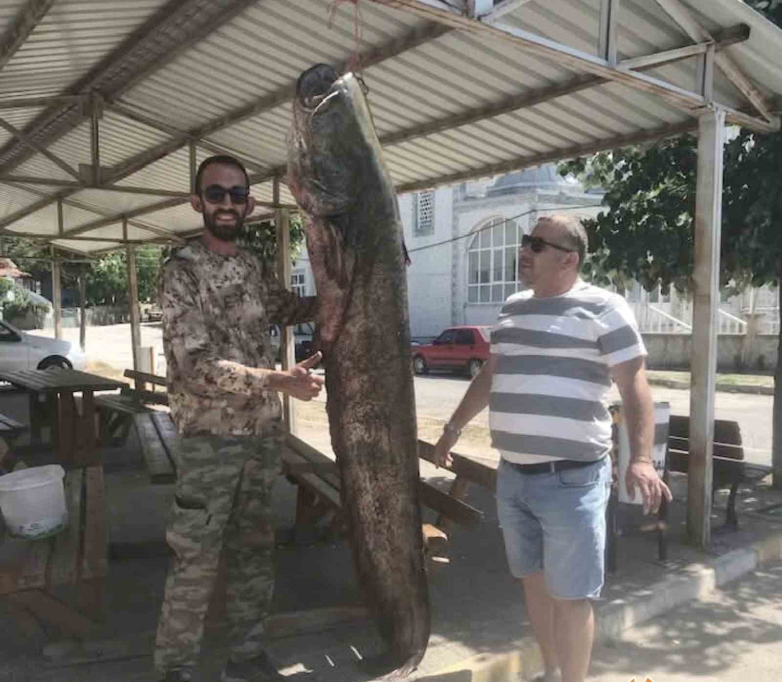 İpsalada Ağlara 80 Kilo Ağırlığında Yayın Balığı Takıldı