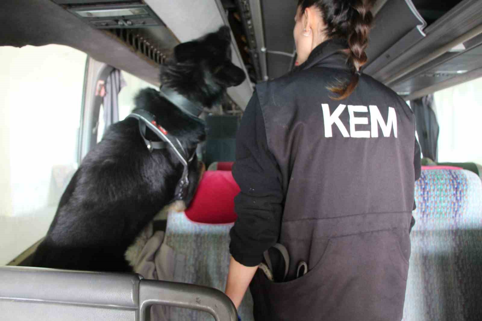 Kapıkulede 77 Kilo Ecstacy Ele Geçirildi