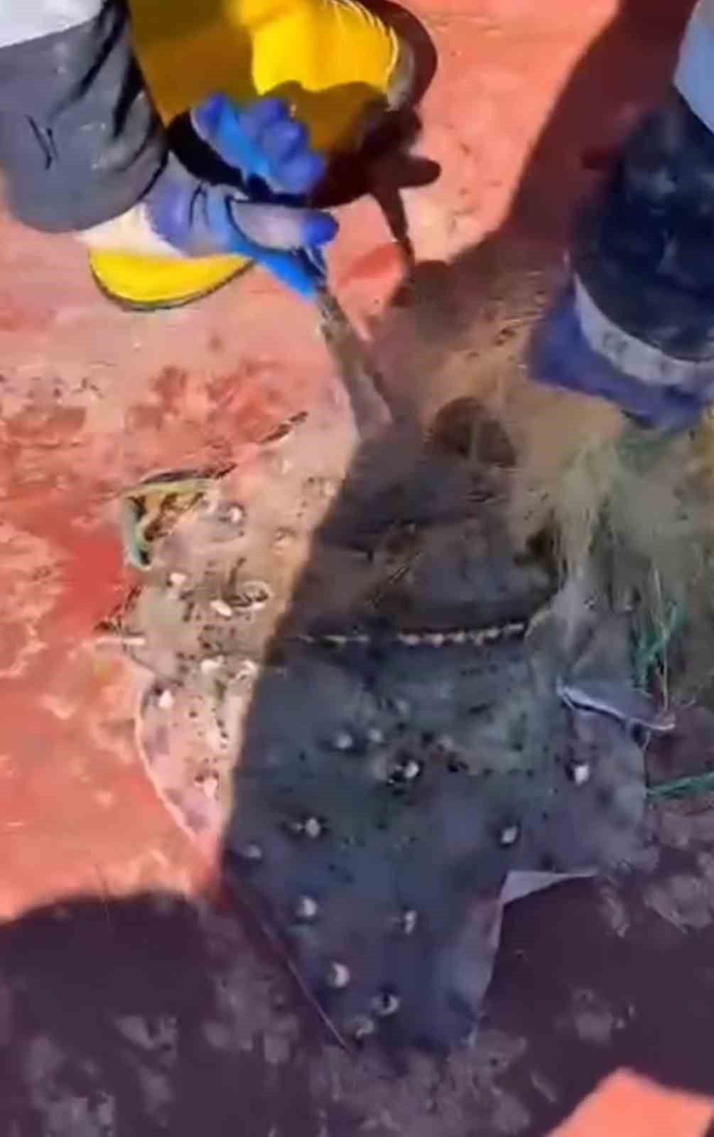 Kırklarelinde 44 Bin Metre Kaçak Ağ Toplandı