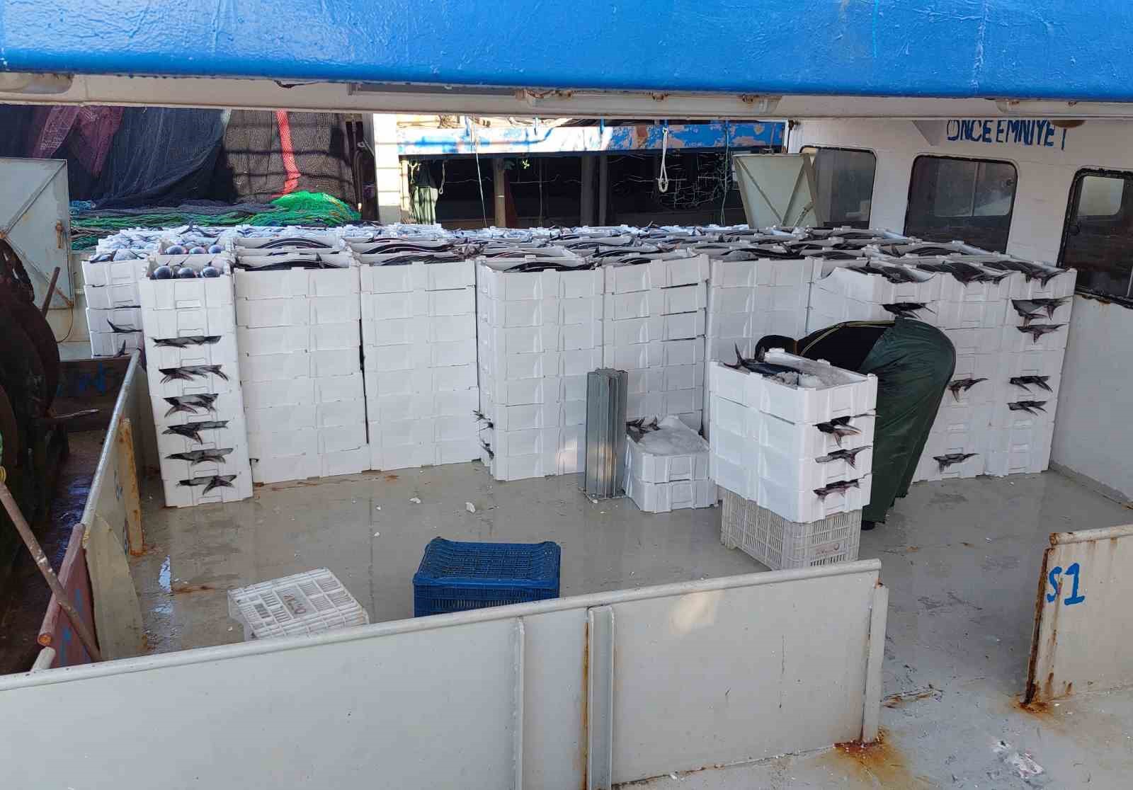 Marmara Denizine Ağ Atan Balıkçılar, Yaklaşık 30 Ton Torik Balığı Avladılar