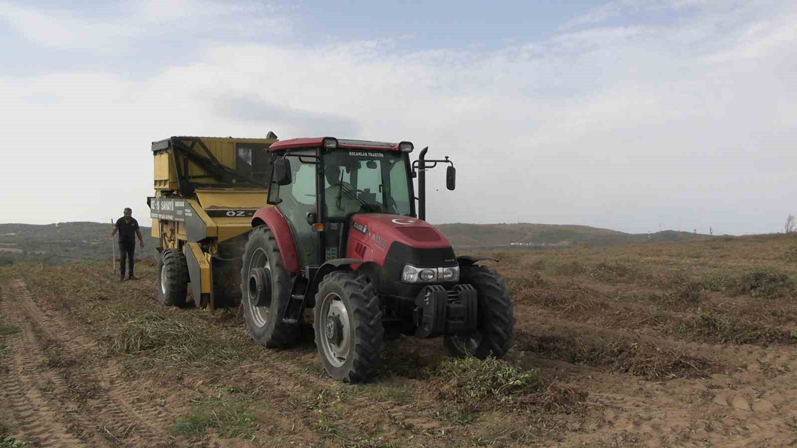 Meriçte Coğrafi İşaretli Yer Fıstığında Hasat Mesaisi Başladı