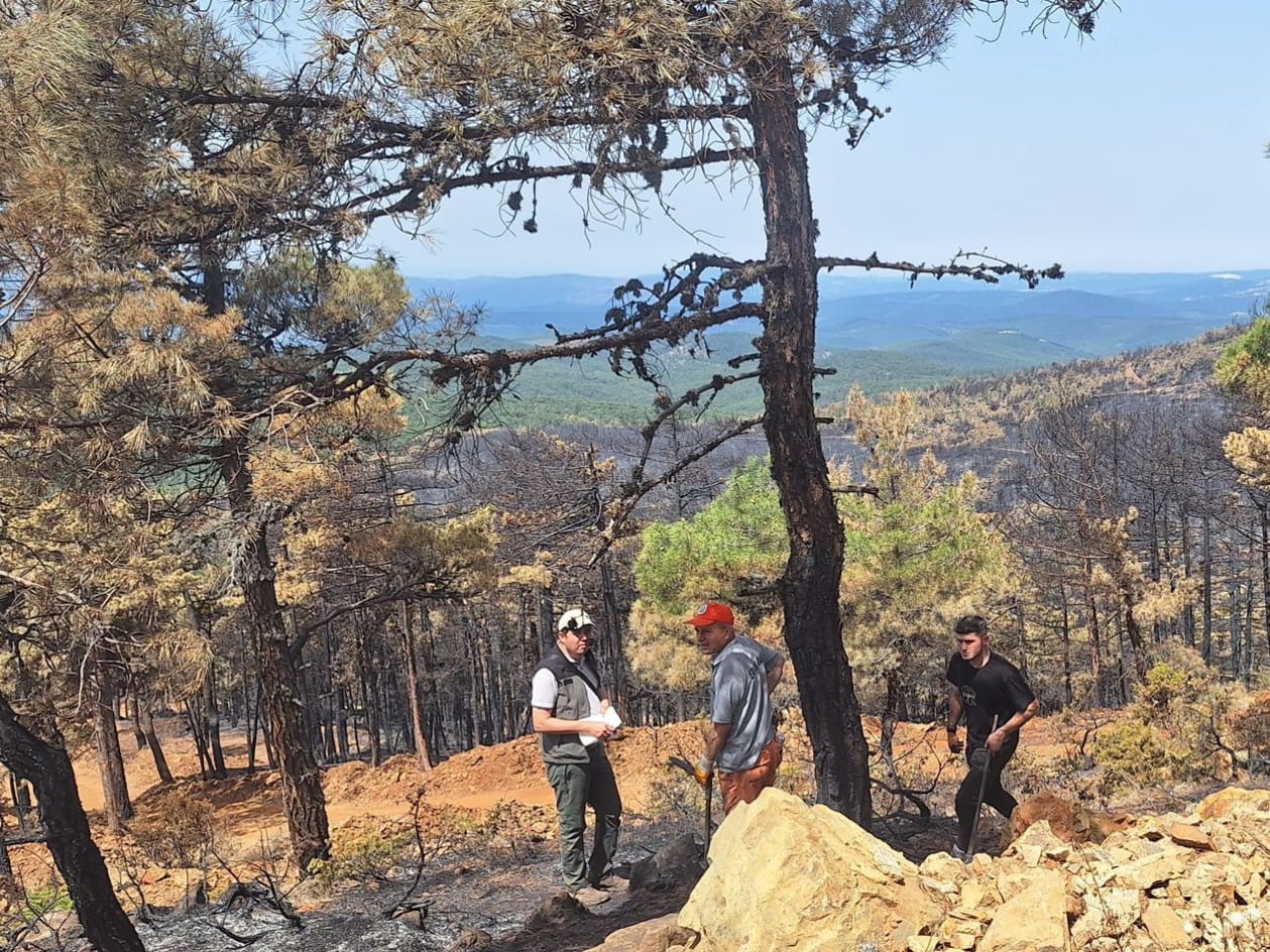 Orhanelindeki Yangında 96 Hektar Orman Kül Oldu, Ağaçlandırma Çalışması Başladı