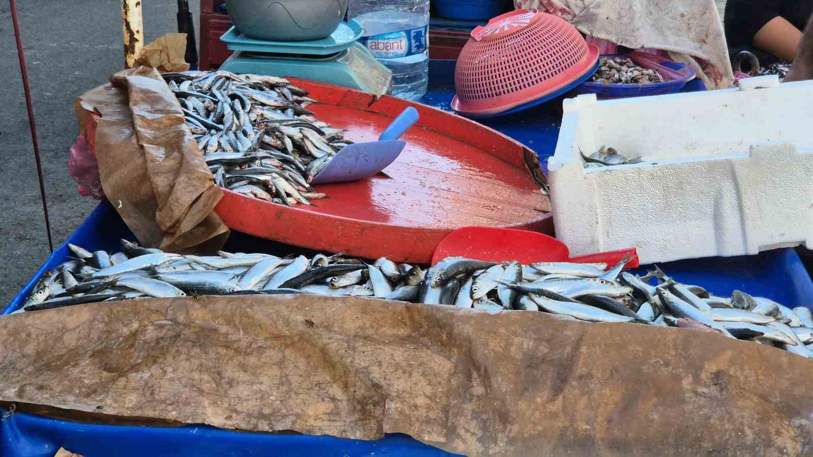 Seyyar Balıkçı: Bu Senenin Balığı Sardalya