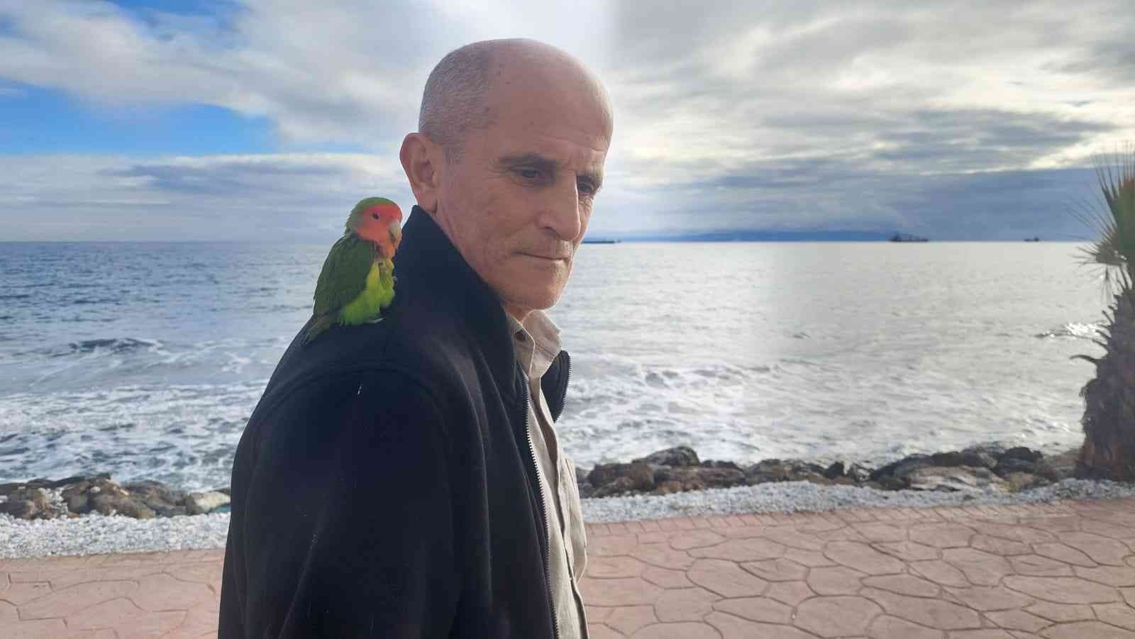 Stresli Papağanı Kendine Yoldaş Edindi, Her Yere Omzunda Götürüyor