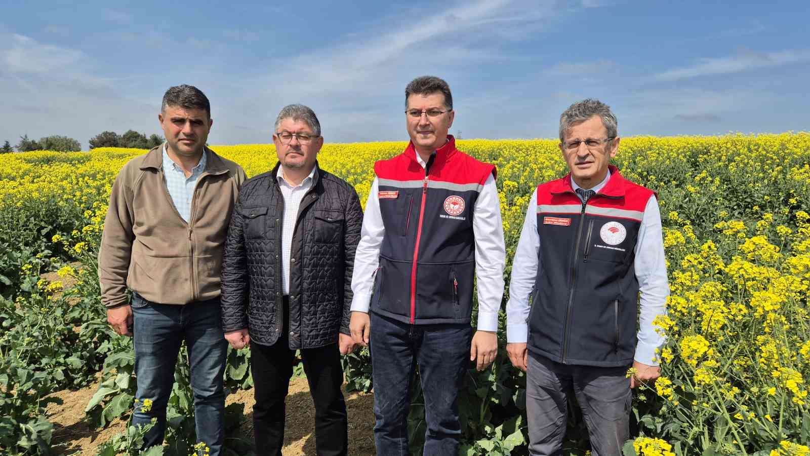 Tekirdağ İl Tarım Müdürü: Arılar Ölürse, Hayat Da Durur