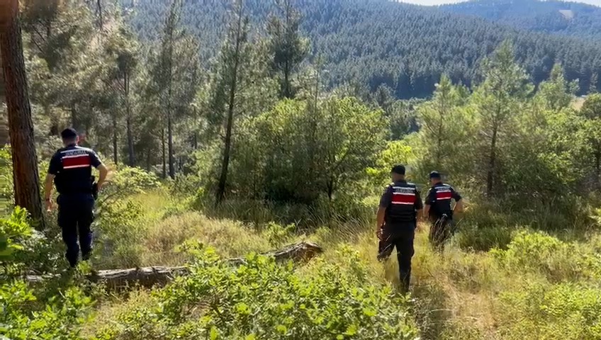Tekirdağ Jandarması, Orman Yangınlarına Karşı Hem Karadan Hem Havadan Denetimler Gerçekleştiriyor