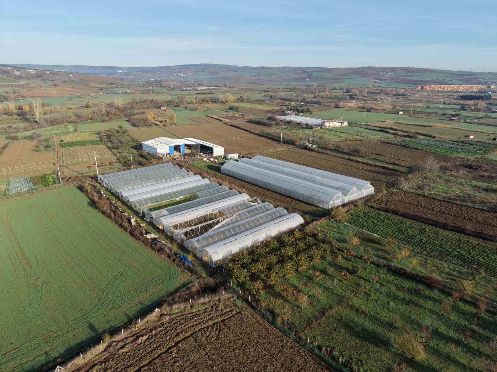 Tekirdağda 70 Futbol Sahası Büyüklüğünde Sera Naylonu Dağıtıldı