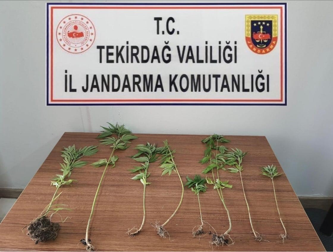 Tekirdağda Uyuşturucu Operasyonları: 8 Kişi Yakalandı