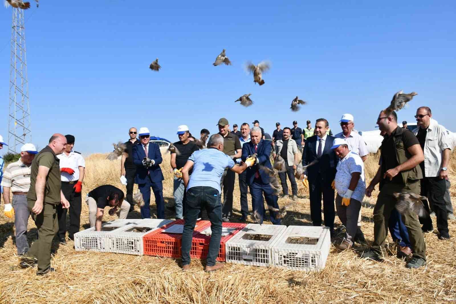 Tekirdağın 40 Mahallesinde Doğaya 800 Keklik Salındı