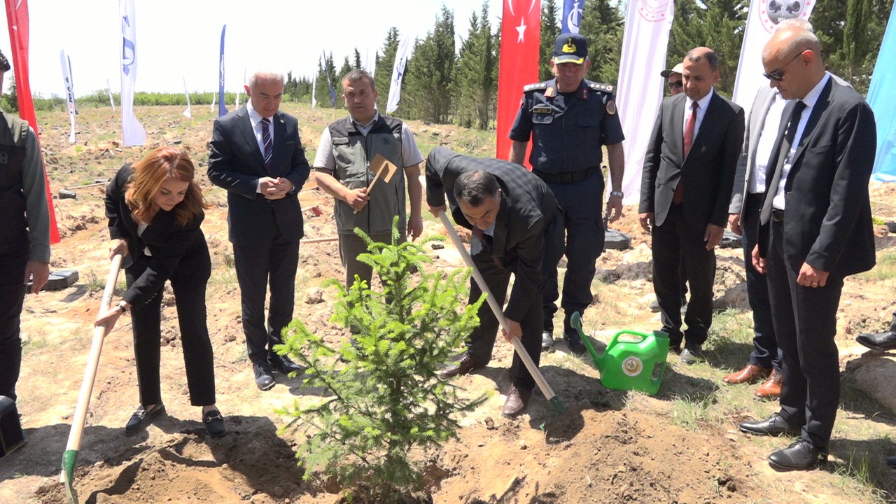 Türkiyede 81 İlde 81 Orman Projesi Kapsamında 81 İlde 2,2 Milyon Fidan Toprakla Buluşacak