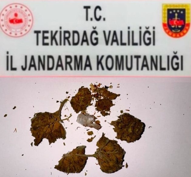 Tekirdağda Uyuşturucu Operasyonları: 3 Ayrı Olayda Bonzai, Esrar Ve Metamfetamin Ele Geçirildi