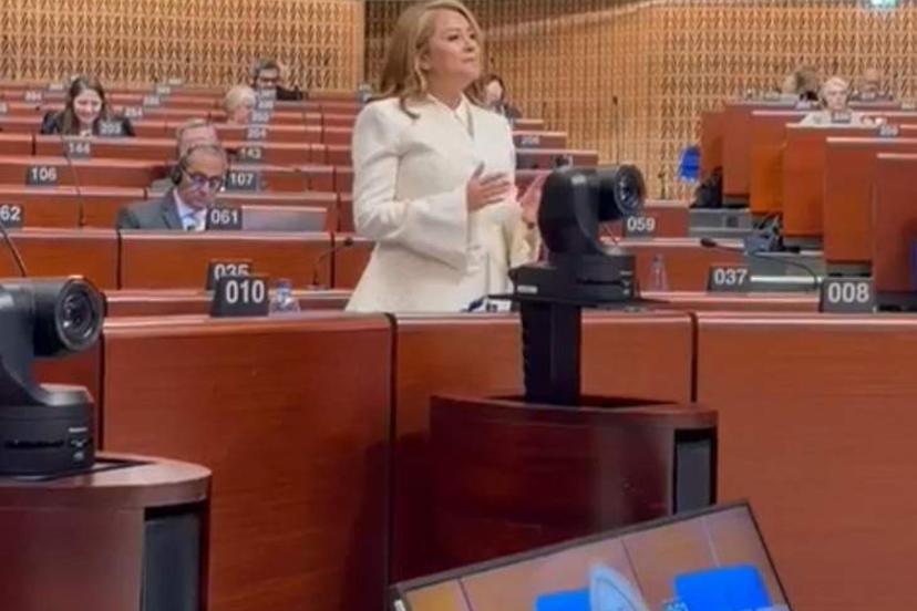 Belediye Başkanı Topak, Avrupa Konseyi'nde Ergene'yi anlattı