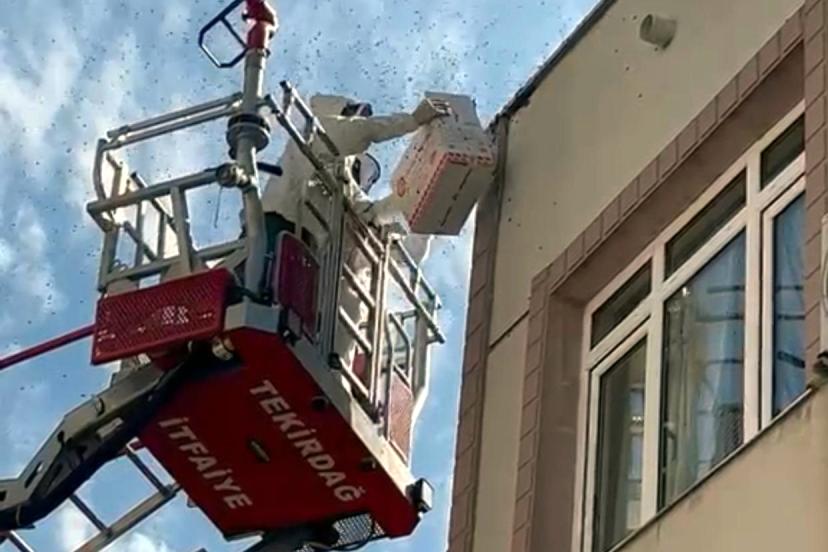 Oğul veren bal arıları nedeniyle yaya ve araç trafiği durdu