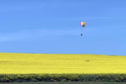 Sarı renge bürünen kanola tarlası üzerinde paramotorla uçtu