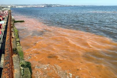 Tekirdağ sahilinde alg patlaması nedeniyle deniz turuncu renge büründü