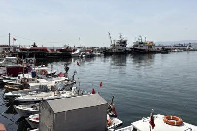 Tekirdağ'da balıkçılar, sezondan memnun