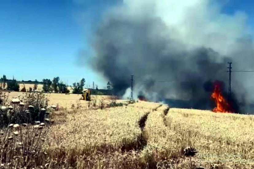 Tekirdağ'da 50 dekar ekili buğday yandı