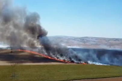 Tekirdağ'da yangında 300 dekar tarım alanı zarar gördü