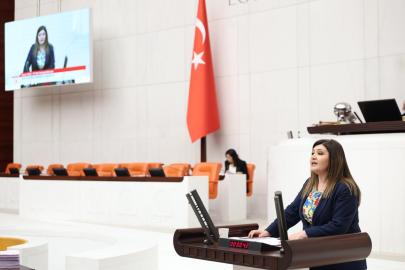 SELCAN TAŞÇI: “KADIN KATİLLERİNE ALKIŞ TUTANLARIN ‘KADINA ŞİDDET DURDURULSUN’ DERKEN SERGİLEDİKLERİ İKİYÜZLÜLÜĞE Mİ ALIŞALIM?”