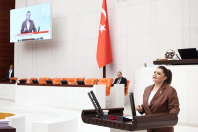 Selcan Taşçı’dan tarım politikalarına tepki: “Buğday nerede? Müşteride. Para nerede? Yok!”