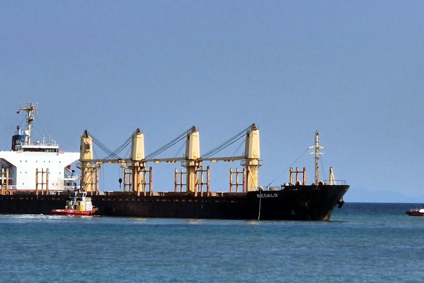 Tekirdağ açıklarında kuru yük gemisi karaya oturdu