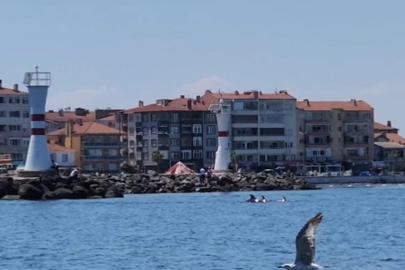 Tekirdağ açıklarında yunuslar görüntülendi