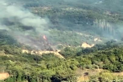 Tekirdağ'da anız yangını ormana sıçradı, 3 saatte kontrol altına alındı