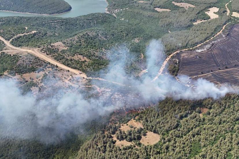 Tekirdağ'da anız yangınında alevler, ormana sıçradı