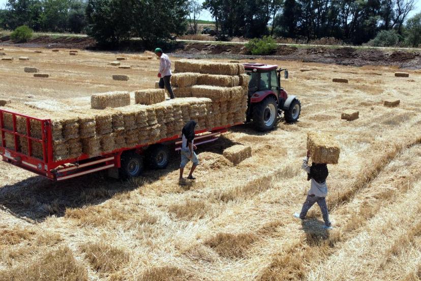 Tekirdağ'da balya bağlama ile açık alanda ateş yakılması yasaklandı