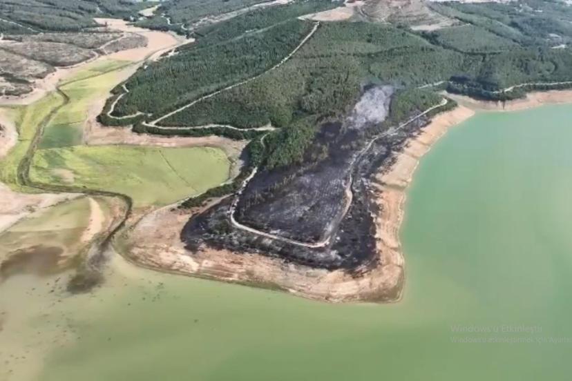 Tekirdağ'da yangında 80 dekar orman zarar gördü