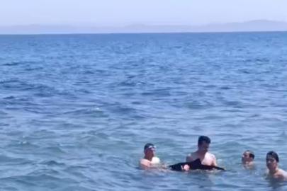 Tekirdağ'da yavru yunus yüzenlerin yanına geldi
