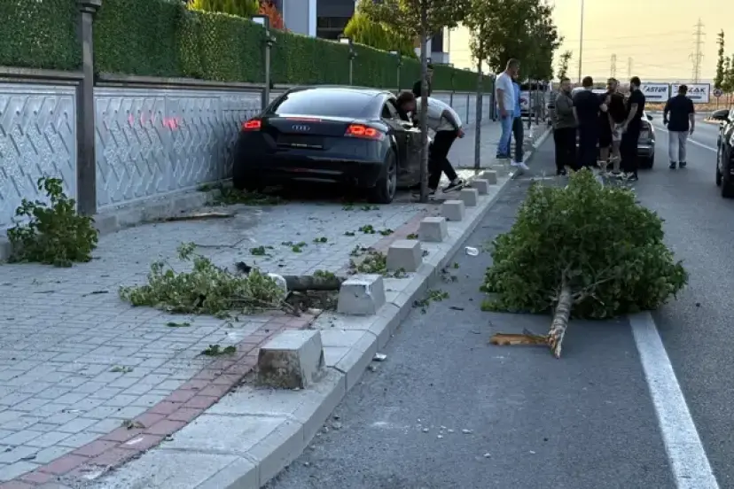 Kontrolden çıkan otomobil, kaldırımdaki ağaca ve duvara çarptı