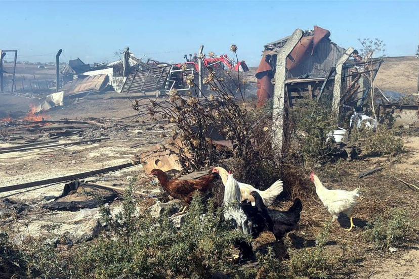 Tekirdağ'da anız yangını; 4 çiftlik evi yandı