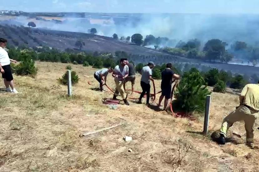 Tekirdağ’da yangın; 100 dekar alan zarar gördü