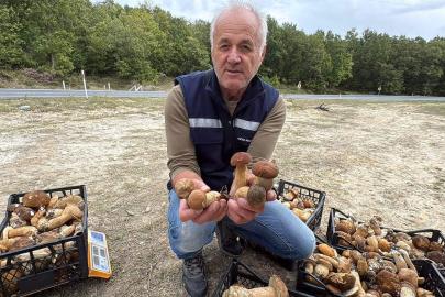 Istranca Ormanları'nda mantar bereketi